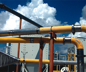 1578967512117833.jpg 5.jpg